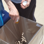 DEA National Take Back Day